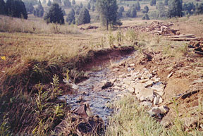 Melted tar and corroded drums